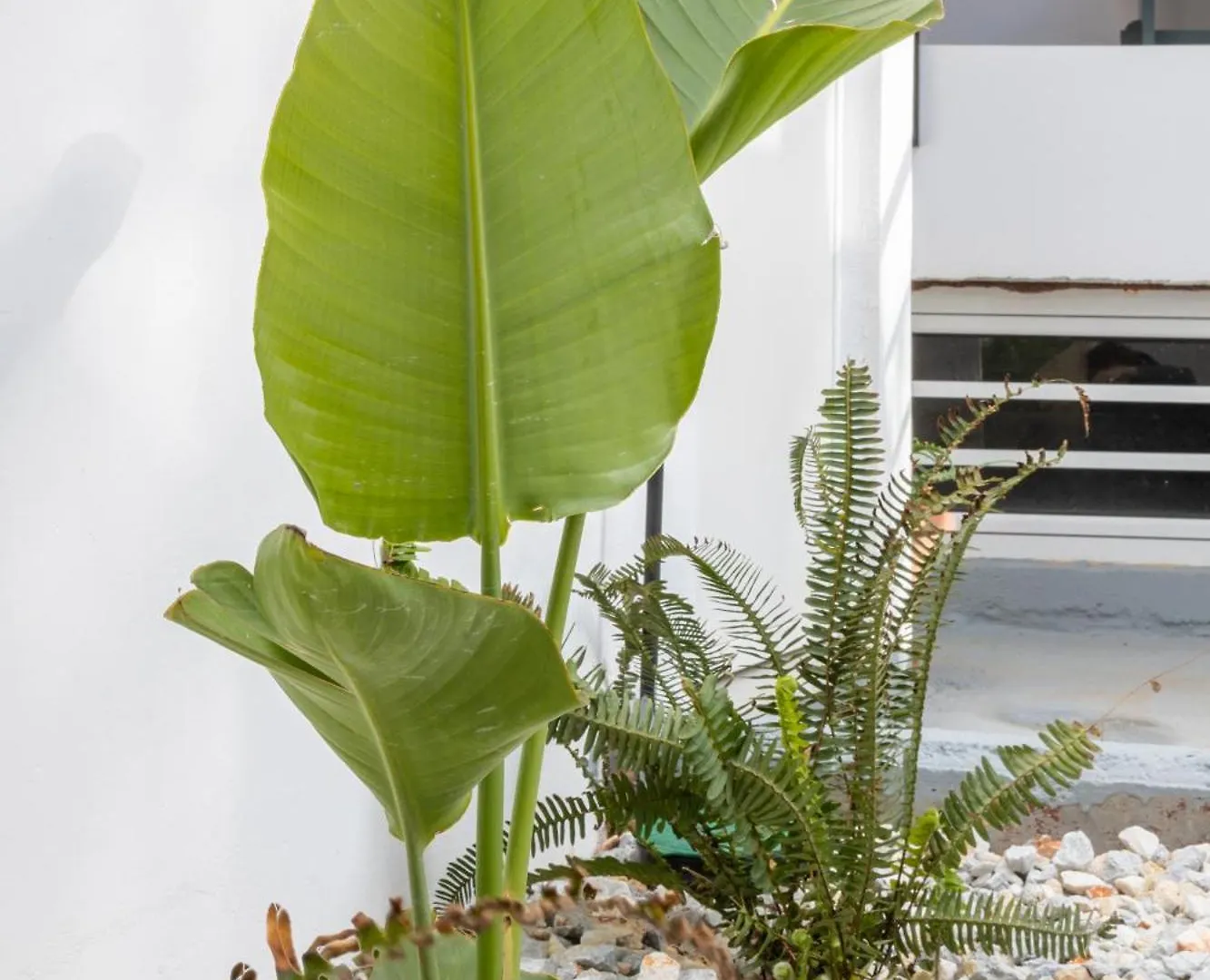 Garden Luxury Apartment Heraklion